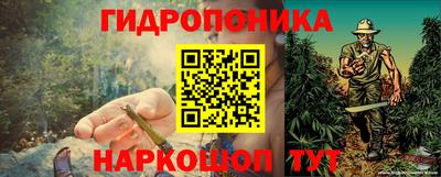 крисы Шахты