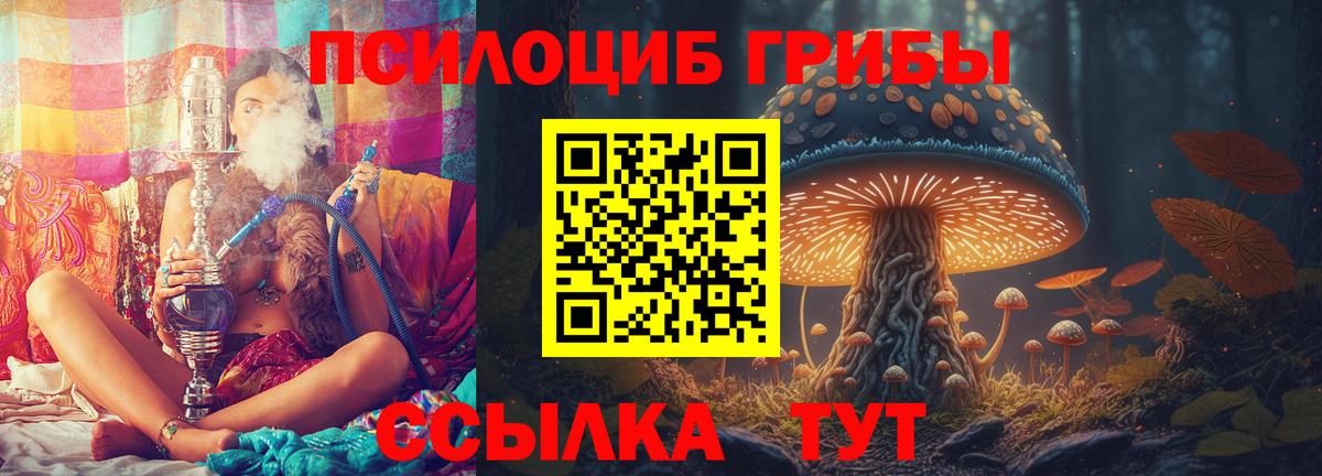 Удомля  Псилоцибиновые грибы Magic Shrooms  Вход с VPN 