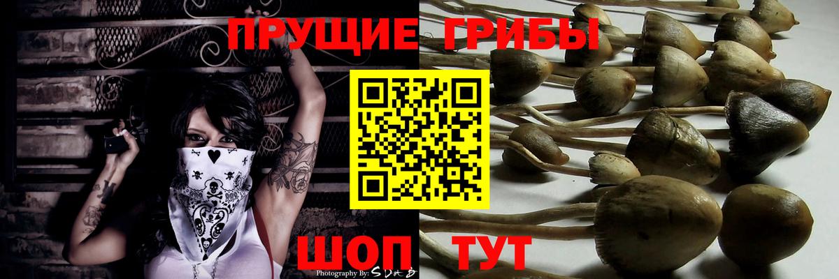 Галлюциногенные грибы мицелий Удомля